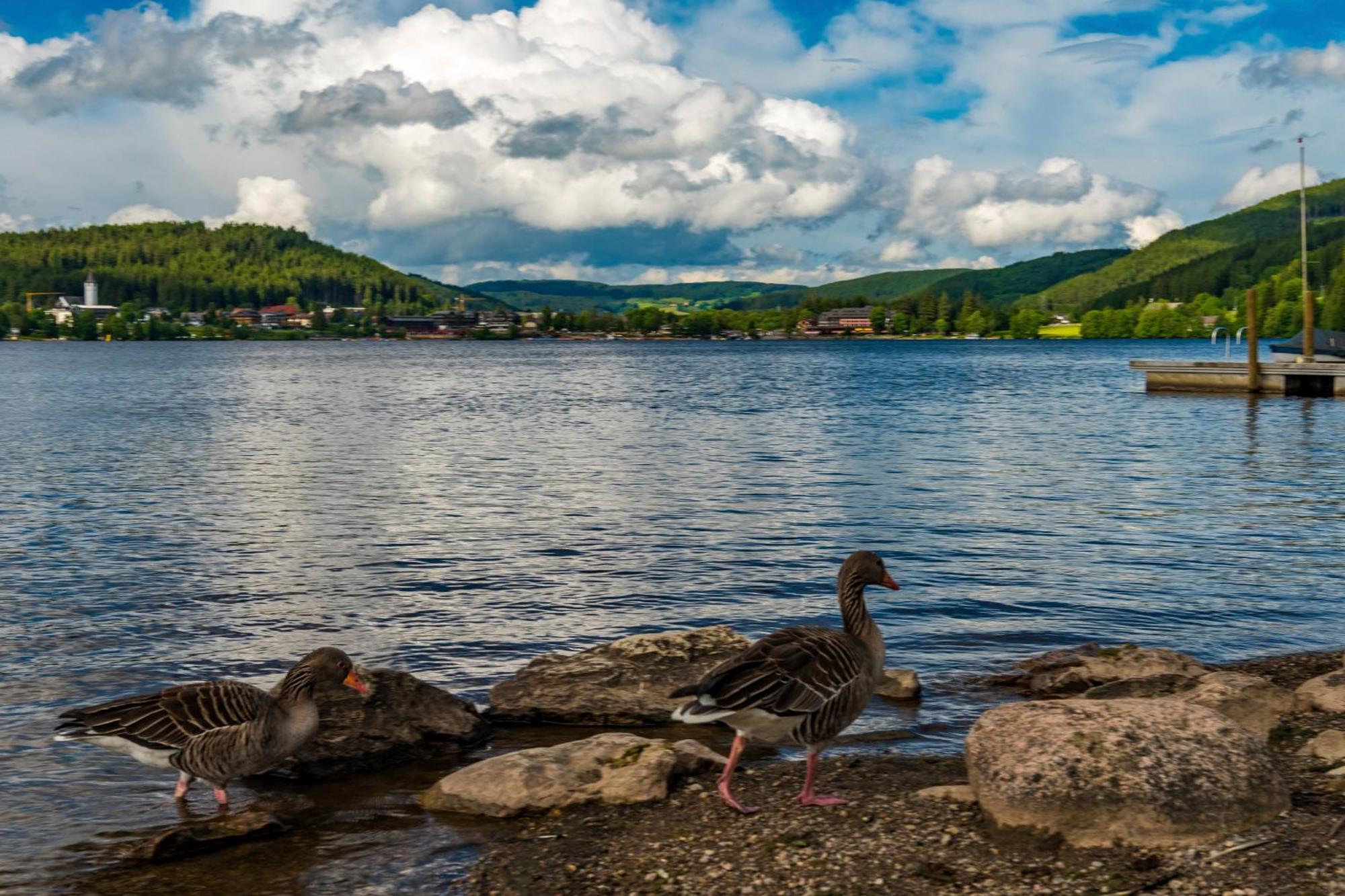 Drei Tannen - Wohnung 12 - Apartmenthaus, Titisee, Nahe Badeparadies Extérieur photo